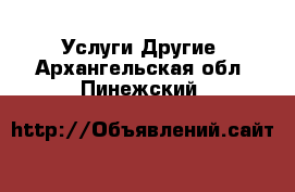 Услуги Другие. Архангельская обл.,Пинежский 